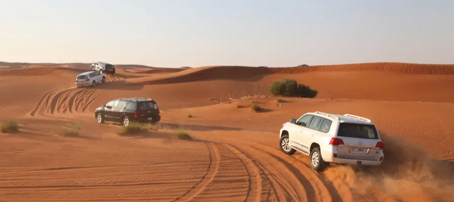 Dubai Morning Desert Safari With Quad Bike-2