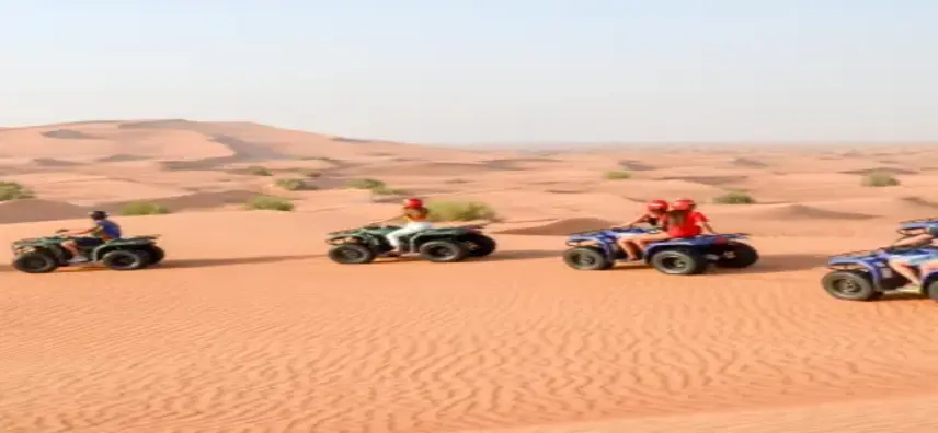 Sandboarding Dubai Tour-7