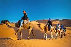 Camel Trekking Dubai