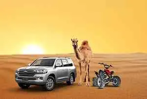 Dubai Morning Desert Safari With Quad Bike